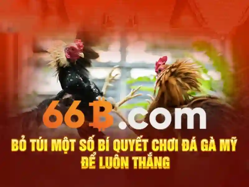  xổ số 66b - 66B