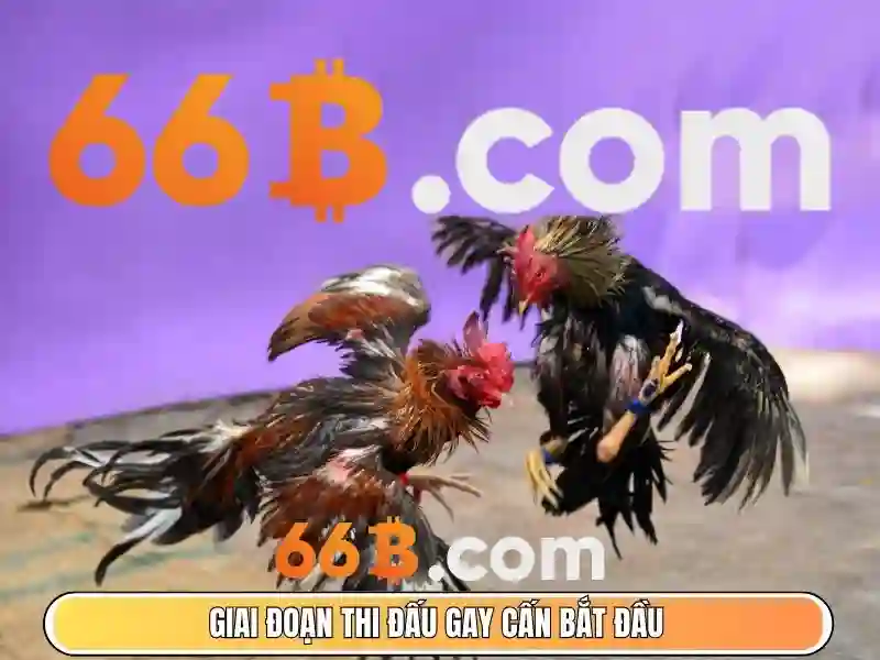 bảo mật tài khoản Slot - 66B