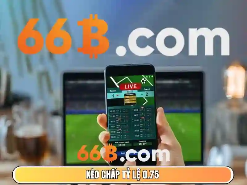66B - 66B
