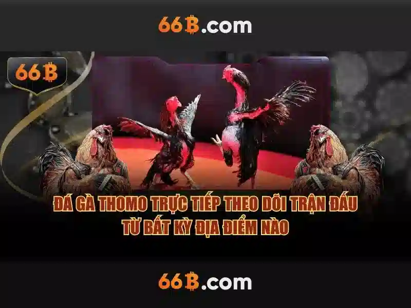  khuyến mãi Slot 2026 - 66B