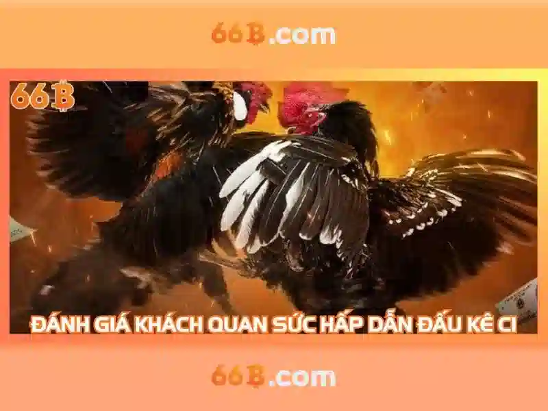  giải trí - 66B