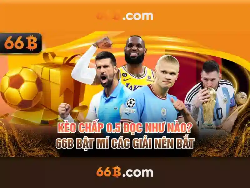  66btop - 66B