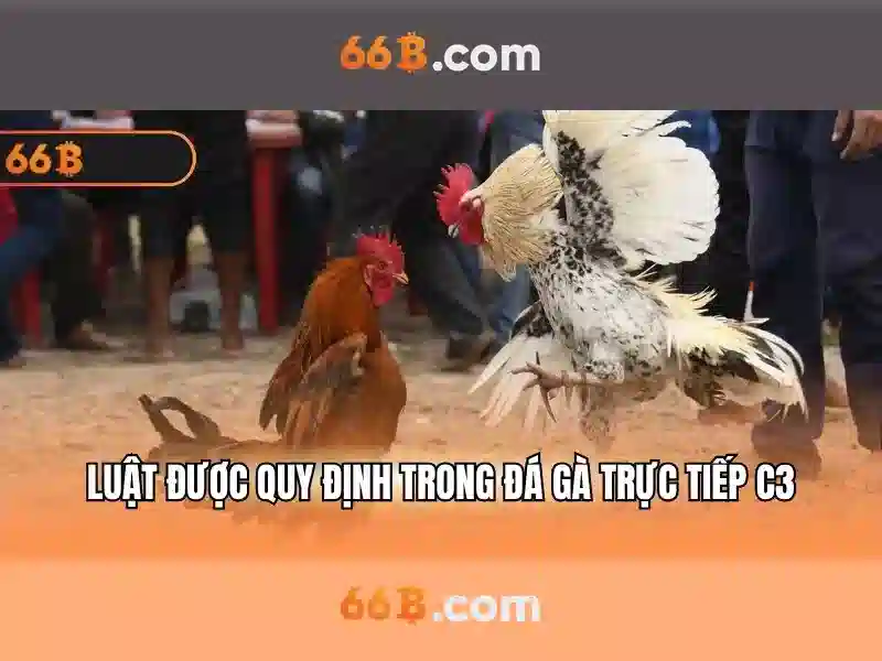  casino trực tuyến - 66B