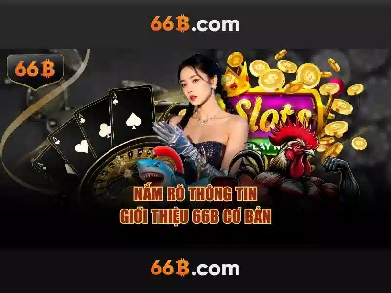 66b chính thức - 66B