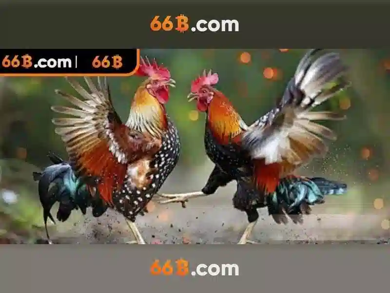 Nổ Hũ 66B – Trải Nghiệm Trực Tuyến Đỉnh Cao Tại Nhà Cái 66B - 66B