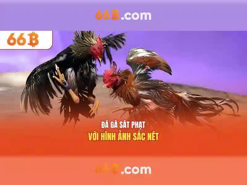 ưu đãi Slot - 66B