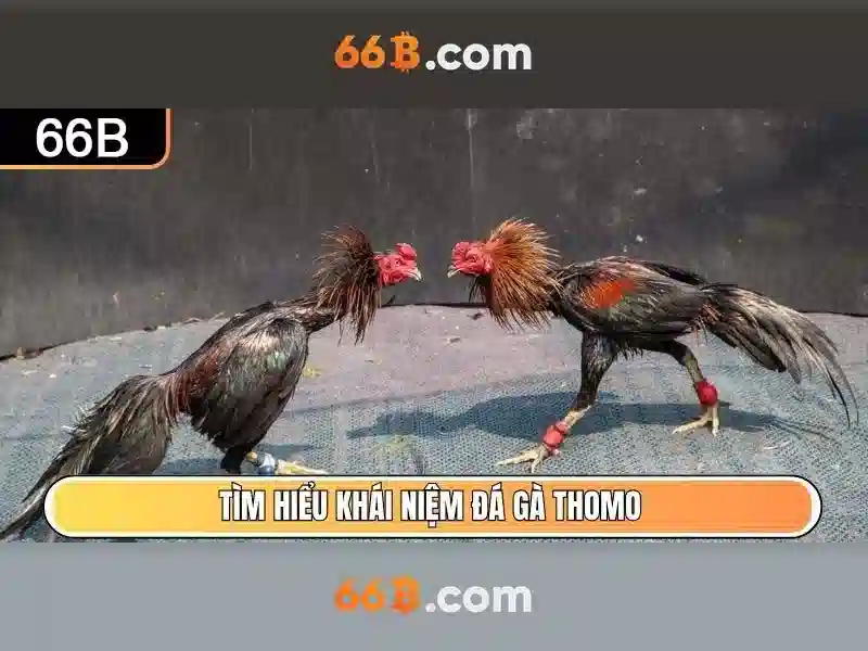  hướng dẫn liên hệ 66b - 66B