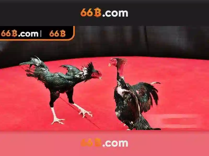 66B – Trang Chủ Chính Thức Cung Cấp Lô Đề, Slot, Xổ Số 2026 - 66B