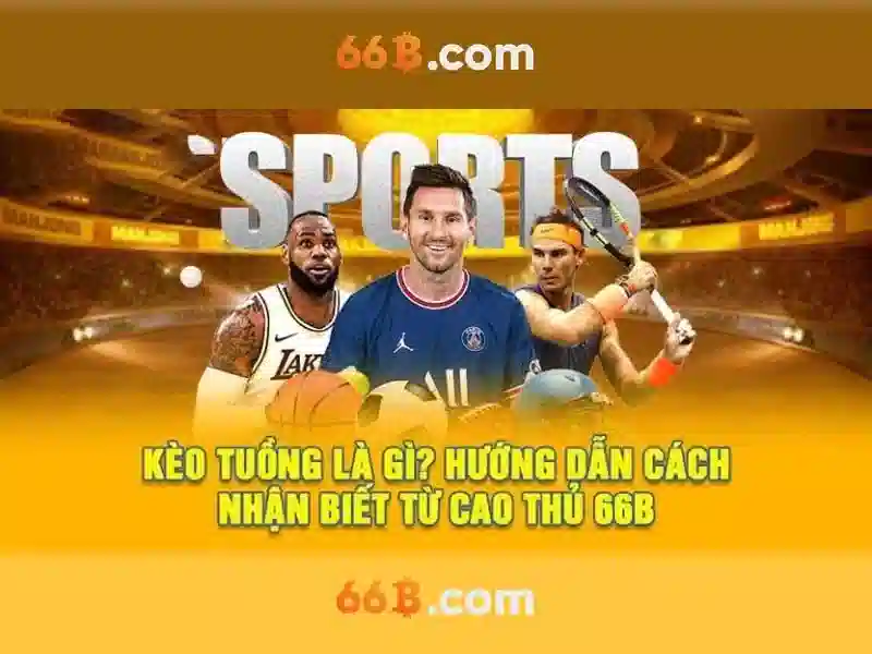  cài đặt 66B - 66B