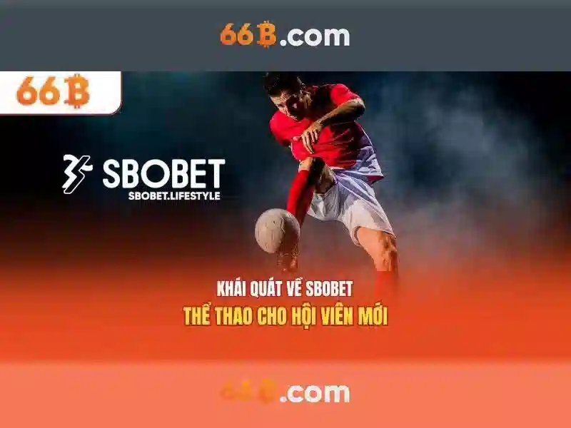  SLOT - 66B