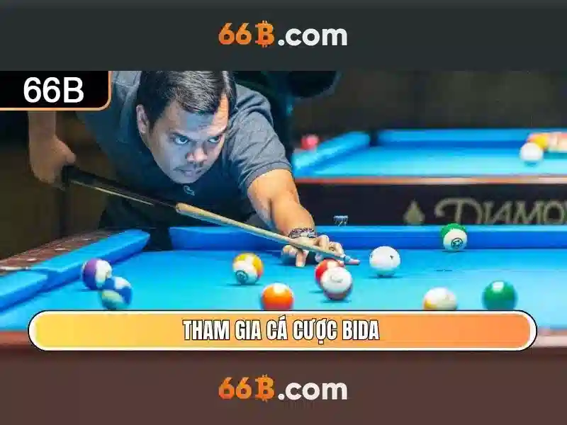  liên hệ trực tuyến - 66B