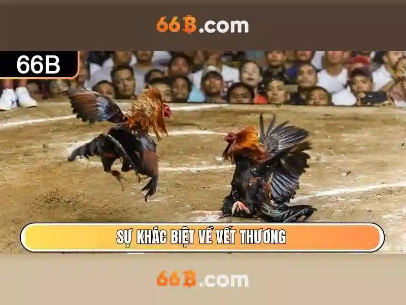 66B - 66B