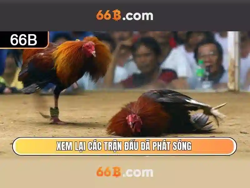  cá cược Slot - 66B