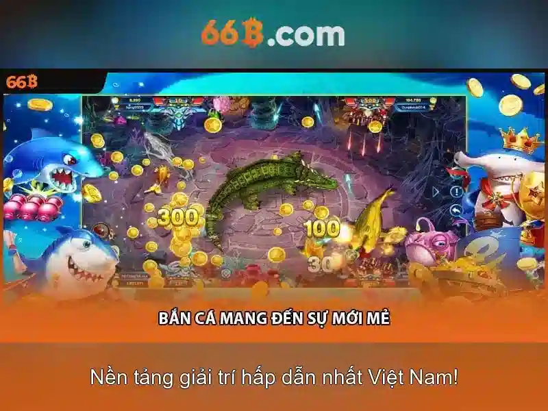  điều khoản sử dụng - 66B