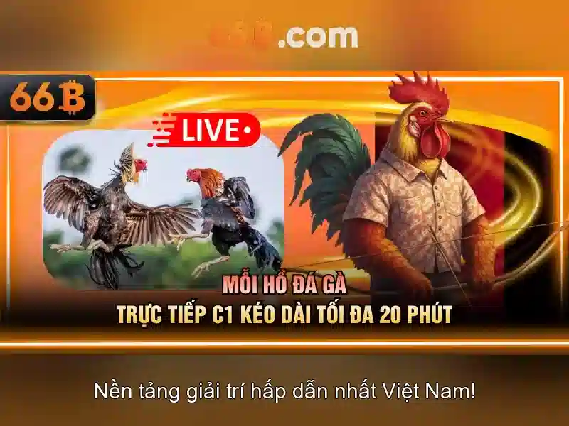 66b - Trang cược trực tuyến an toàn và hấp dẫn cho người chơi Việt