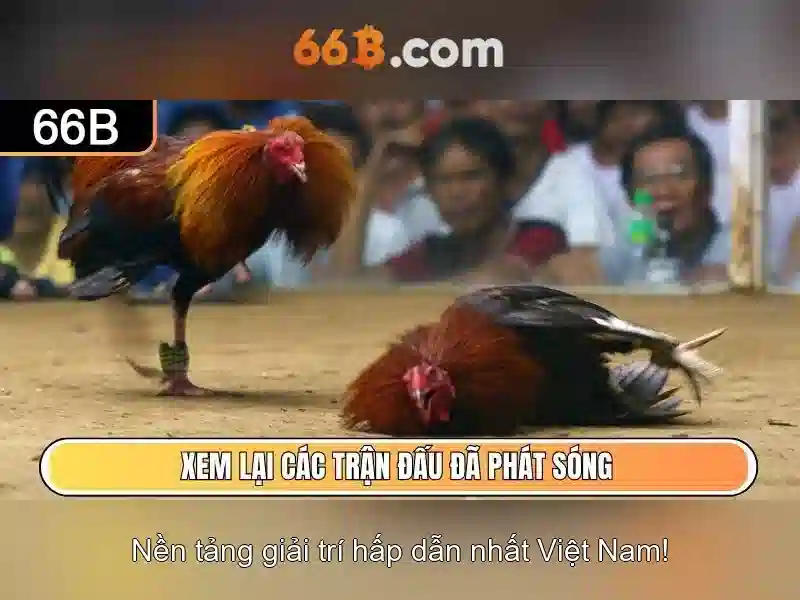 ưu đãi độc quyền - 66B