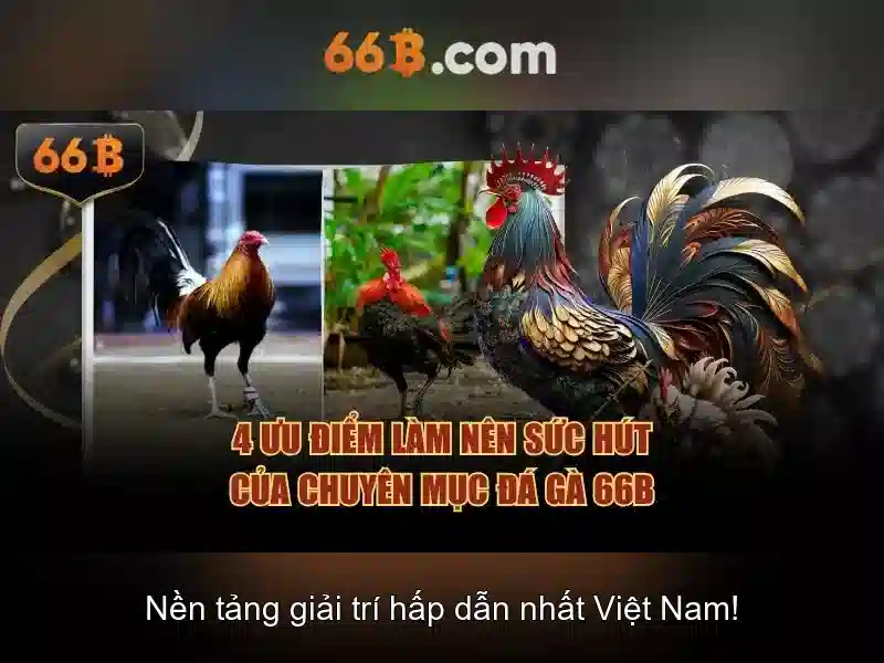 66b - Trang cược trực tuyến an toàn và hấp dẫn cho người chơi Việt