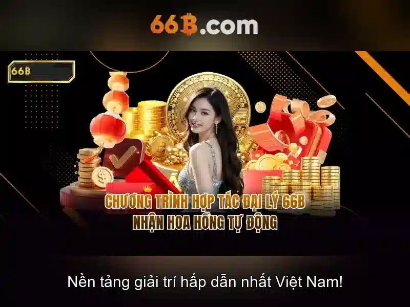  dịch vụ 66B - 66B