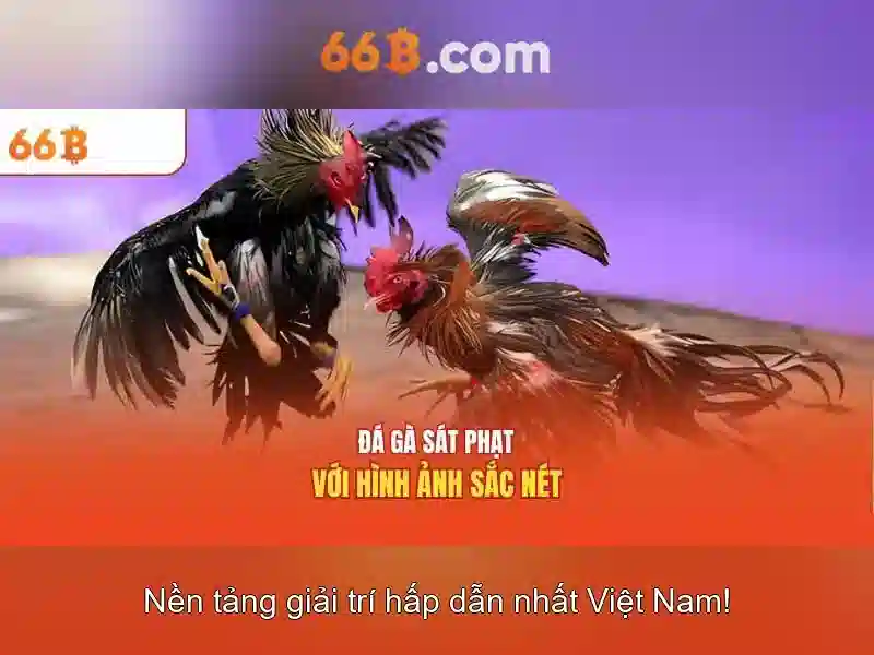  tỷ lệ thưởng Slot - 66B