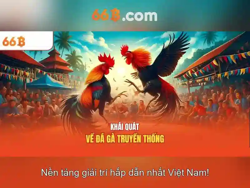  nhà cái 66B - 66B