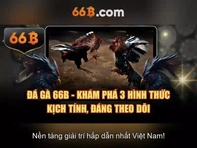  66b an toàn không - 66B
