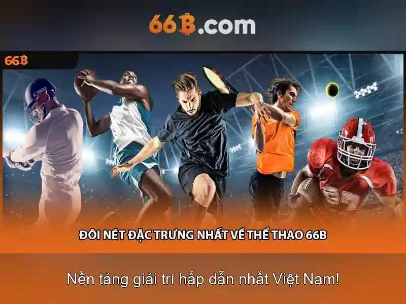  trải nghiệm - 66B