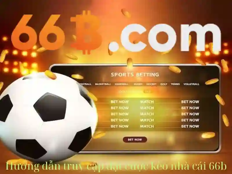 cá cược - 66B
