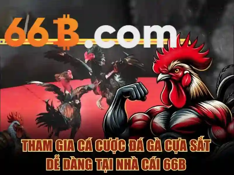 66B - 66B