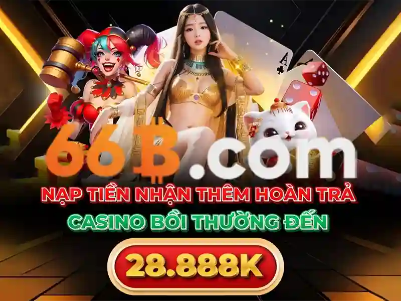 quản lý tài khoản 66B - 66B