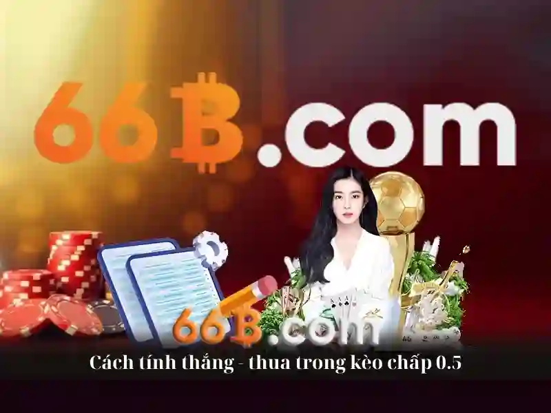 66b login - 66B